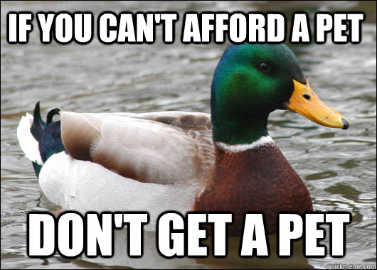 if you cant afford a pet dont get a pet - Actual Advice Mallard