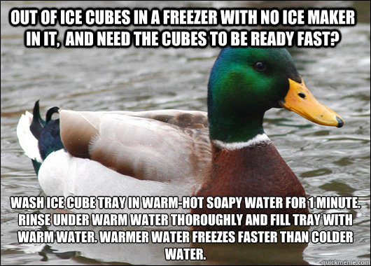 out of ice cubes in a freezer with no ice maker in it and - Actual Advice Mallard