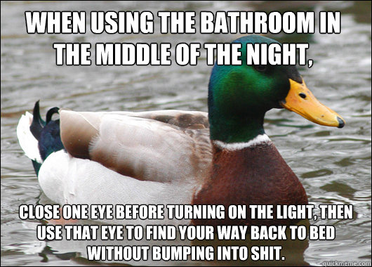 when using the bathroom in the middle of the night close on - Actual Advice Mallard
