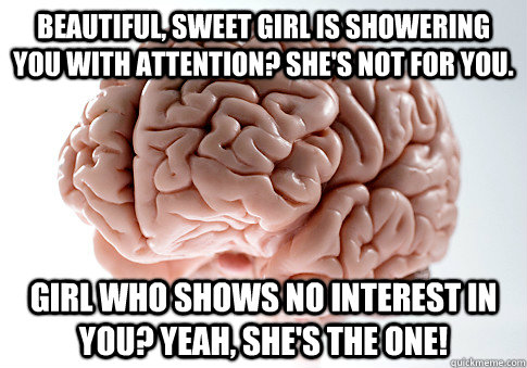 beautiful sweet girl is showering you with attention shes - Scumbag Brain