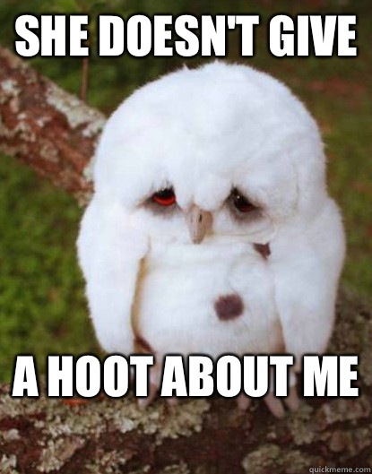 She doesnt give A hoot about me - Depressed Owl