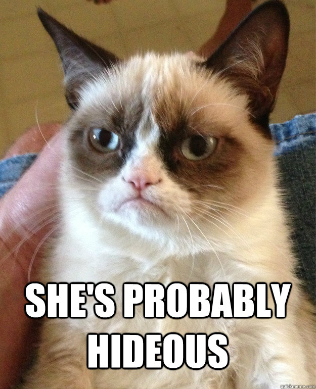 shes probably hideous - Grumpy Cat