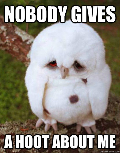 nobody gives a hoot about me - Depressed Owl