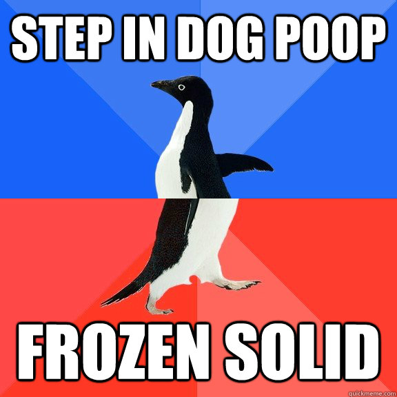 step in dog poop frozen solid - Socially Awkward Awesome Penguin