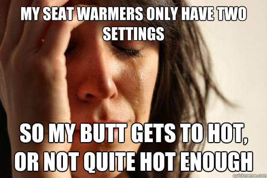 my seat warmers only have two settings so my butt gets to ho - First World Problems