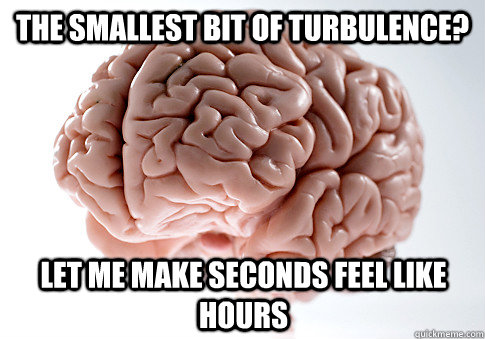 the smallest bit of turbulence let me make seconds feel lik - Scumbag Brain