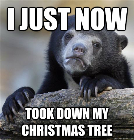 i just now took down my christmas tree - Confession Bear