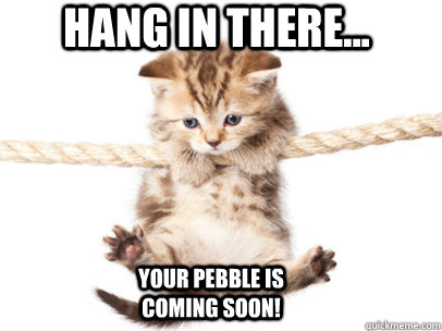 hang in there your pebble is coming soon - Hang in there Pebble