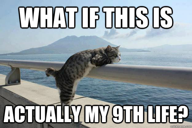 what if this is actually my 9th life - Existential Crisis Cat