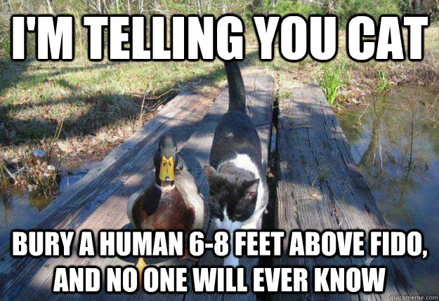 im telling you cat bury a human 68 feet above fido and no - Actual Advice Mallard Takes a Stroll