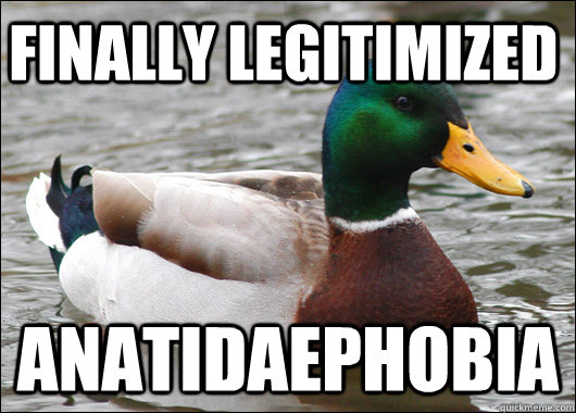 finally legitimized anatidaephobia - Actual Advice Mallard