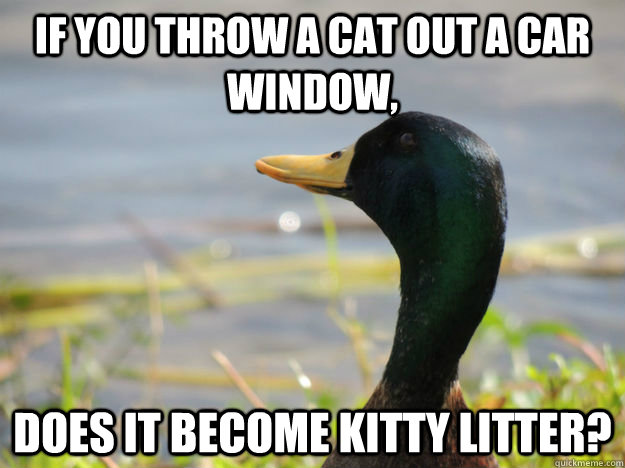 if you throw a cat out a car window does it become kitty li - Deep Thought duck