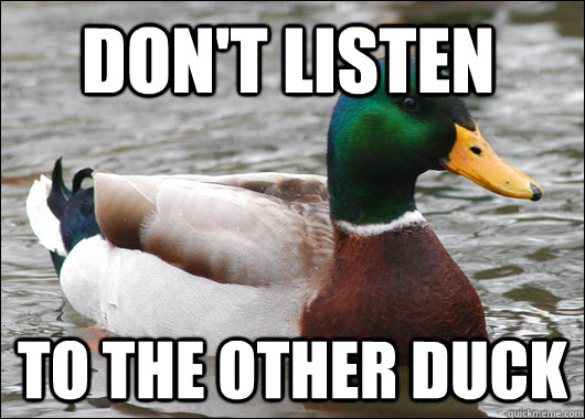 dont listen to the other duck - Actual Advice Mallard