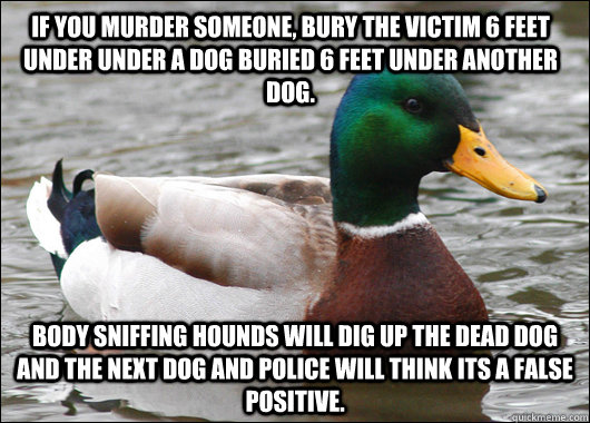 if you murder someone bury the victim 6 feet under under a - Actual Advice Mallard