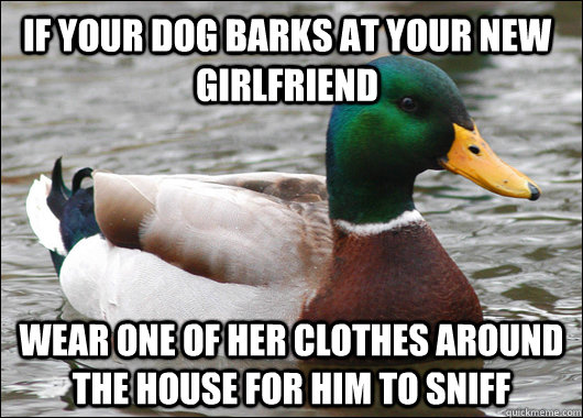 if your dog barks at your new girlfriend wear one of her clo - Actual Advice Mallard