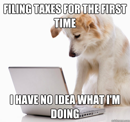 filing taxes for the first time i have no idea what im doin - no idea dog