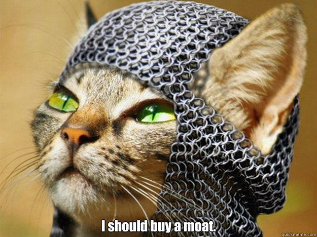 i should buy a moat -