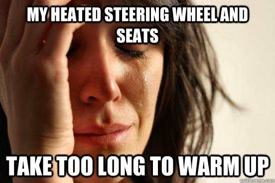 my heated steering wheel and seats take too long to warm up - First World Problems