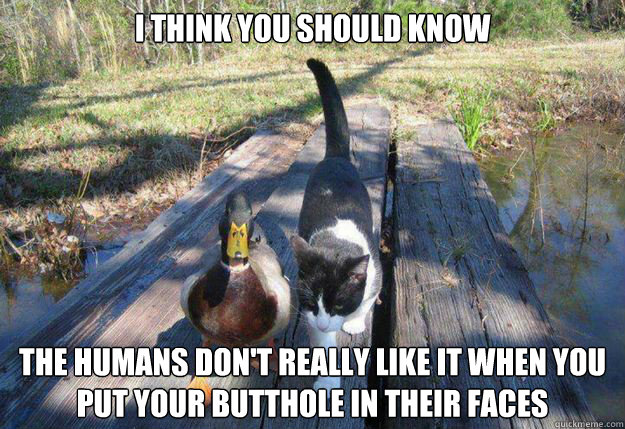 i think you should know the humans dont really like it when - Boat advice