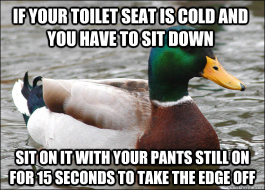 if your toilet seat is cold and you have to sit down sit on - Actual Advice Mallard