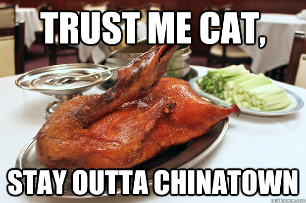 trust me cat stay outta chinatown - Final Advice Mallard