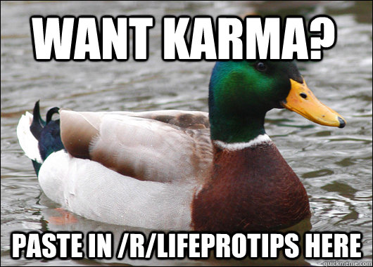 want karma paste in rlifeprotips here - Actual Advice Mallard