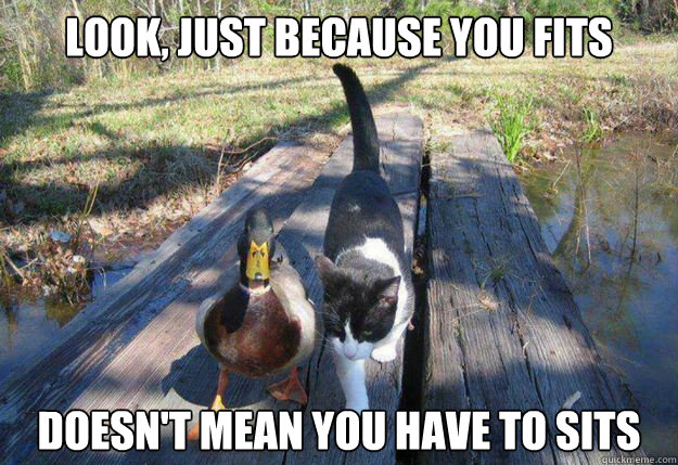 look just because you fits doesnt mean you have to sits - Boat advice