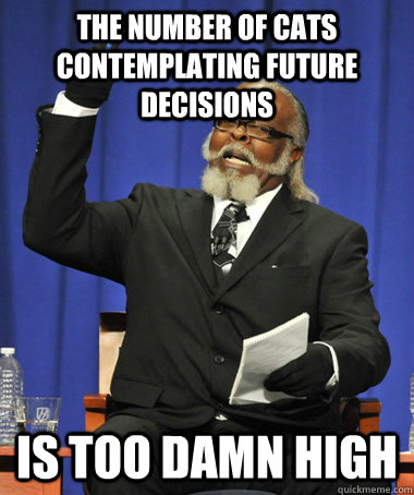 the number of cats contemplating future decisions is too dam - The Rent Is Too Damn High