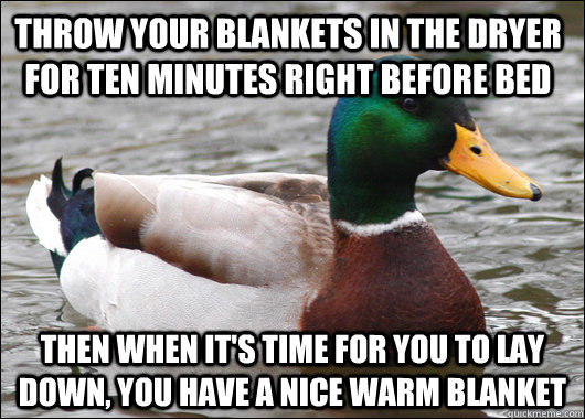 throw your blankets in the dryer for ten minutes right befor - Actual Advice Mallard