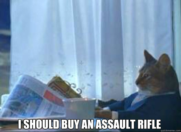 i should buy an assault rifle - I should buy a boat cat