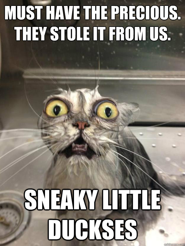 must have the precious they stole it from us sneaky little - Gollum Cat