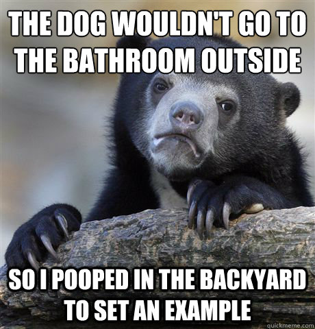 the dog wouldnt go to the bathroom outside so i pooped in t - Confession Bear