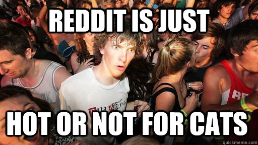 reddit is just hot or not for cats - Sudden Clarity Clarence