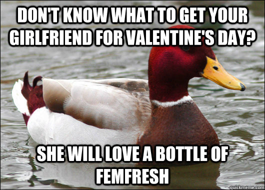 dont know what to get your girlfriend for valentines day - Malicious Advice Mallard