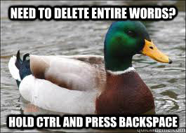need to delete entire words hold ctrl and press backspace - Good Advice Duck