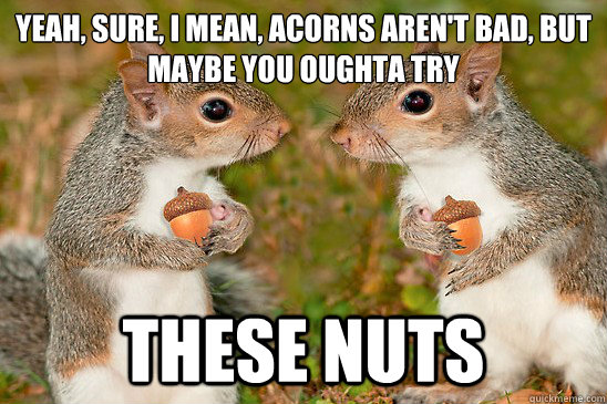 yeah sure i mean acorns arent bad but maybe you oughta -