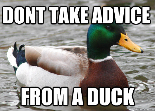 dont take advice from a duck - Actual Advice Mallard