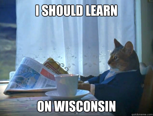 i should learn on wisconsin - The One Percent Cat