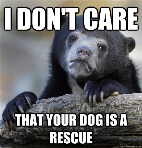 i dont care that your dog is a rescue - Confession Bear