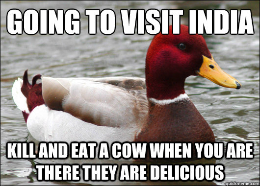 going to visit india kill and eat a cow when you are there - Malicious Advice Mallard