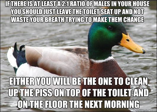 if there is at least a 21 ratio of males in your house you - Actual Advice Mallard