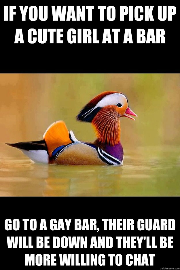 if you want to pick up a cute girl at a bar go to a gay bar - 
