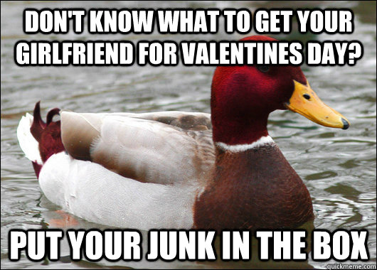dont know what to get your girlfriend for valentines day p - Malicious Advice Mallard