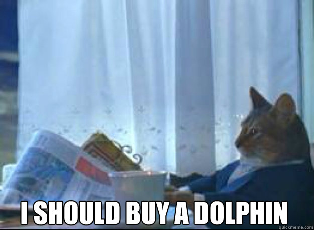i should buy a dolphin - I should buy a boat cat