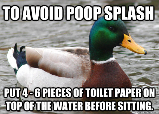 to avoid poop splash put 4 6 pieces of toilet paper on top - Actual Advice Mallard
