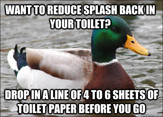 want to reduce splash back in your toilet drop in a line of - Actual Advice Mallard