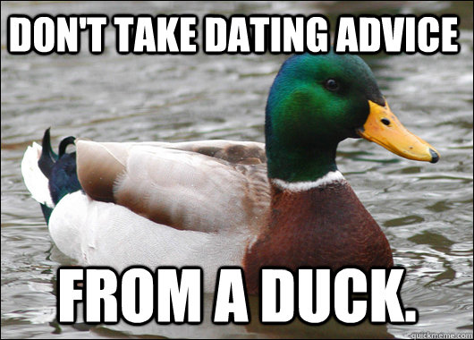 dont take dating advice from a duck - Actual Advice Mallard