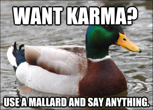 want karma use a mallard and say anything - Actual Advice Mallard
