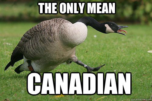 the only mean canadian -
