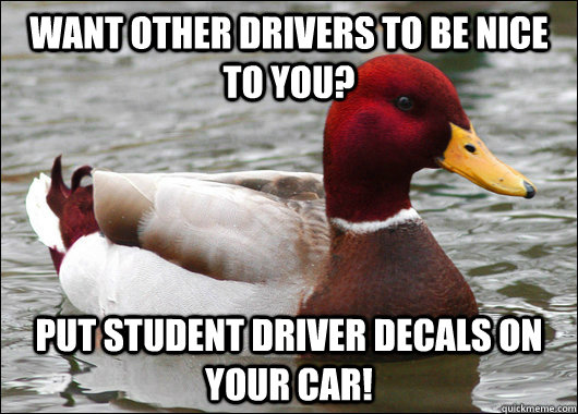 want other drivers to be nice to you put student driver dec - Malicious Advice Mallard